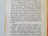 Knyga 1918m Spausdinta Čikagoje - nuotraukos Nr. 4