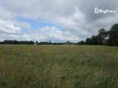 3,82 ha žemės sklypas netoli Klaipėdos m. - nuotraukos Nr. 14