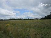 3,82 ha žemės sklypas netoli Klaipėdos m. - nuotraukos Nr. 15