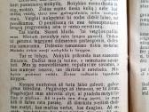 "Jaunam spaudos veikėjui" 1926m Pavasario leidinys - nuotraukos Nr. 7