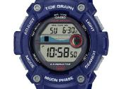 Casio Classic Ws-1300h-2avef