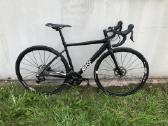 Rose Pro SL - nuotraukos Nr. 11