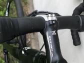 Rose Pro SL - nuotraukos Nr. 21