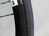 Rose Pro SL - nuotraukos Nr. 30