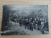 Lietuvos kariuomenė. Žygis. Manevrai. Gurguolė.