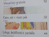 Pasakos mergaitėms ir berniukams nuo 4 metų - nuotraukos Nr. 3