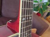 Crate Cimarron Ca15u ir elektroakustinė gitara - nuotraukos Nr. 15