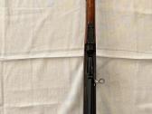 Svt40 - nuotraukos Nr. 3