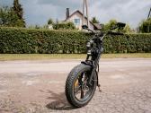 Parduodamas Engwe M20 elektrinis dviratis fatbike - nuotraukos Nr. 2