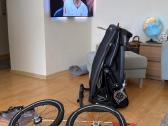 Dviračio priekaba Thule Sport 2 - nuotraukos Nr. 12