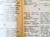 "Esperantiškas žodinėlis" 1922m. - nuotraukos Nr. 2