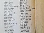 "Esperantiškas žodinėlis" 1922m. - nuotraukos Nr. 5