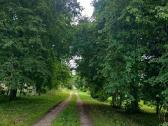 Parduodama sodyba Anykščių r. Repšėnų kaime - nuotraukos Nr. 16