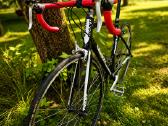 Parduodamas Giant Defy M - nuotraukos Nr. 3