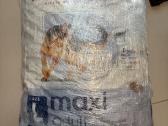 Royal Canin Maxi Adult L 15kg šunų pašaras - nuotraukos Nr. 2