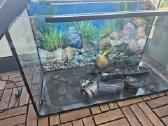 Naudotas 80 l akvariumas su visais priedais - nuotraukos Nr. 2