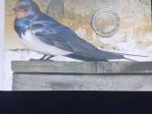 Estonija 2 eur The Estonian national bird - nuotraukos Nr. 3