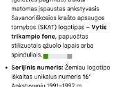Lietuvos savanoriu peilis durklas - nuotraukos Nr. 6