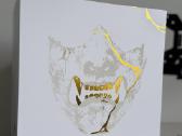 Ghost of Yotei Collectors Edition - nuotraukos Nr. 12