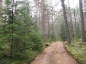 Perkame mišką, žemę visoje lietuvoje - nuotraukos Nr. 4