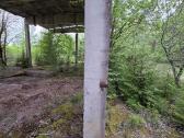 Kliuskine ferma - nuotraukos Nr. 3