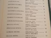 Italų novelės - nuotraukos Nr. 4