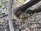 Scott Aspect 740 M 27.5" - nuotraukos Nr. 7