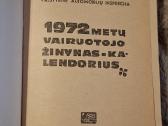 Auto kalendoriai - nuotraukos Nr. 4