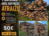 Spygliuočių atraižos Vilnius, Vilniaus r. - nuotraukos Nr. 4