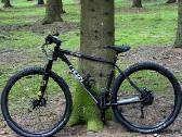 Radon Zr Race 6.0 2017 29er L(20) - nuotraukos Nr. 2
