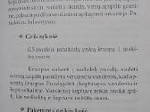 Sezoniniai patiekalai - nuotraukos Nr. 3