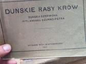 10 tarpukario knygų - nuotraukos Nr. 7
