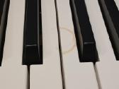Parduodamas Casio Ct-s100 sintezatorius - nuotraukos Nr. 3