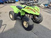 Keturratis Arctic Cat - nuotraukos Nr. 2