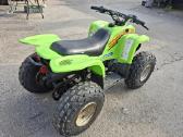 Keturratis Arctic Cat - nuotraukos Nr. 3