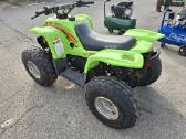Keturratis Arctic Cat - nuotraukos Nr. 4