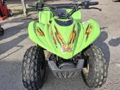 Keturratis Arctic Cat - nuotraukos Nr. 5