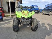 Keturratis Arctic Cat - nuotraukos Nr. 6