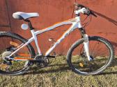 Felt ir Specialized - nuotraukos Nr. 4