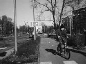 Contax T - nuotraukos Nr. 10
