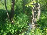 Parduodama sklypas(9,59ha)su projektais, leidimais - nuotraukos Nr. 5