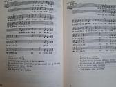 Aukštaičių melodijos - nuotraukos Nr. 4
