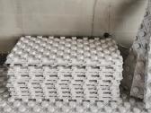 Thermofloor 47 10vnt 50eur - nuotraukos Nr. 2