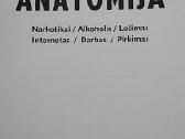 Priklausomybių anatomija - nuotraukos Nr. 2