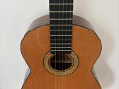 Bosas Akustinės gitaros Kubas Priedai - nuotraukos Nr. 23
