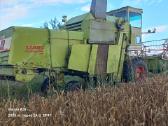Cllas Merkator 70 su registracija ir dokumentais - nuotraukos Nr. 5
