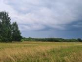 Parduodamas 441 a sklypas Kaišiadorių r. sav., - nuotraukos Nr. 8