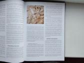 Šiaudiniai sodai - nuotraukos Nr. 6