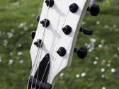 Esp Ltd Viper 400 - nuotraukos Nr. 6
