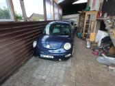Beetle - nuotraukos Nr. 2